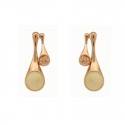 Shaped Earrings Drop