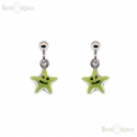 Star Pendant Earrings