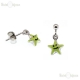 Star Pendant Earrings