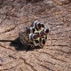 Garnet Stone Sterling Silver Ring